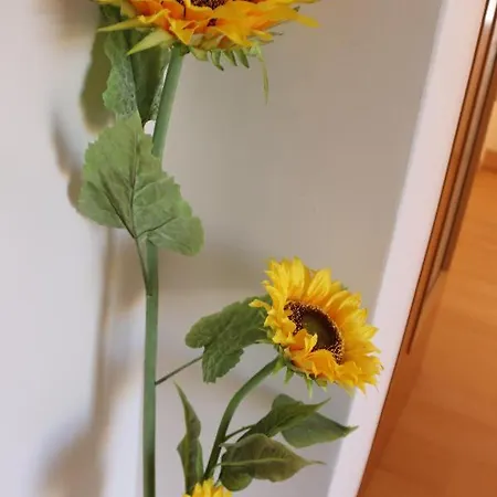 度假居 Liebevoll Eingerichtetes Haus Mit Grossem Garten In - Telefonnummer Und Video Unter Www Fhvn De 德累斯顿